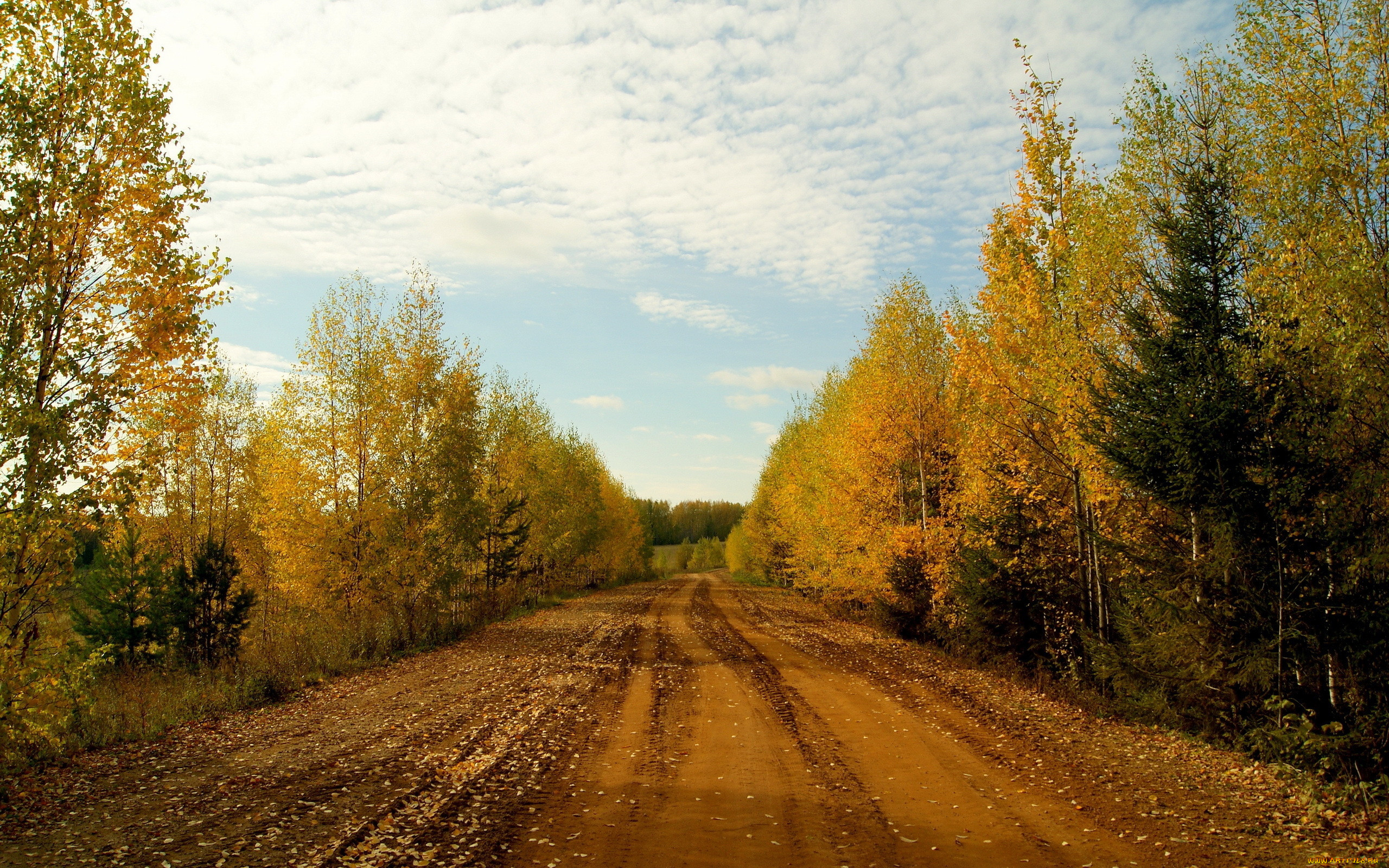 Осенняя Проселочная дорога